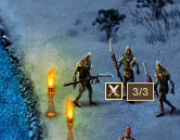 3x Fanatic Followers