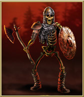 Skeleton Warrior