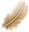 Sphinx Feather